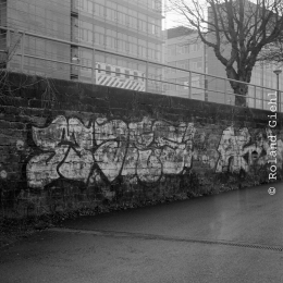 Frankfurt_Mainufer_004_20211215