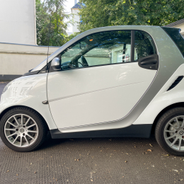 Smart451MHD_010_20220718