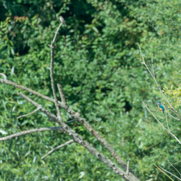 TestNikonTC14EIII_20160814_029