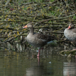 TestNikonTC14EIII_20160814_035