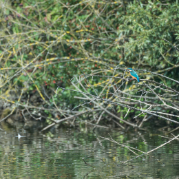 TestNikonTC14EIII_20160814_025