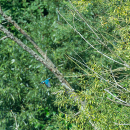 TestNikonTC14EIII_20160814_020