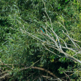 TestNikonTC14EIII_20160814_014