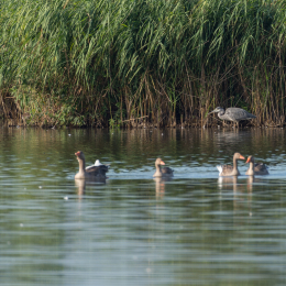 TestNikonTC14EIII_20160814_002