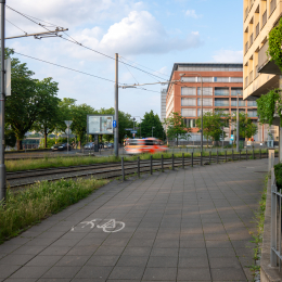 Nikon Z8 - die ersten Bilder