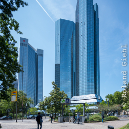 Testbild_Nikon-Z-14-30_20190716_0015