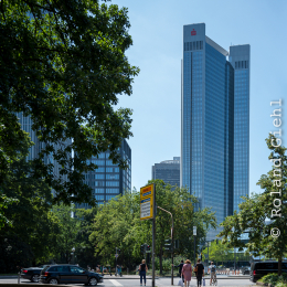 Testbild_Nikon-Z-14-30_20190716_0016