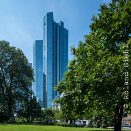 Testbild_Nikon-Z-14-30_20190716_0011