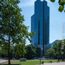 Testbild_Nikon-Z-14-30_20190716_0026