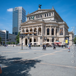 Testbild_Nikon-Z-14-30_20190716_0006