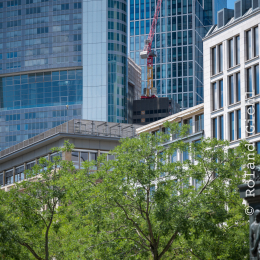 Nikon-Z-24-70-2-8_20190702_016