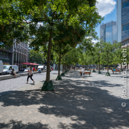 Nikon-Z-24-70-2-8_20190702_014