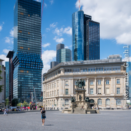 Nikon-Z-24-70-2-8_20190702_009