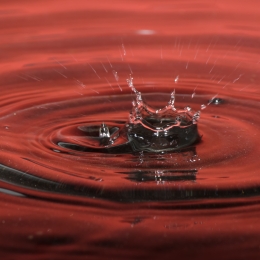 Tropfen_2012-02-25_15