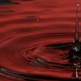 Tropfen_2012-02-25_24