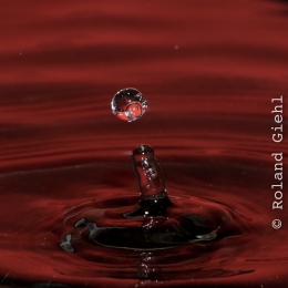 Tropfen_2012-02-25_11