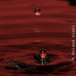 Tropfen_2012-02-25_08