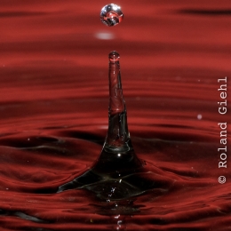 Tropfen_2012-02-25_16