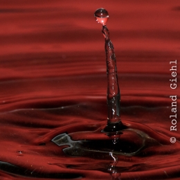 Tropfen_2012-02-25_12