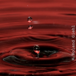 Tropfen_2012-02-25_13