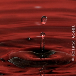 Tropfen_2012-02-25_07