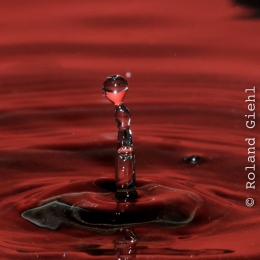 Tropfen_2012-02-25_14