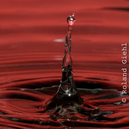 Tropfen_2012-02-25_27