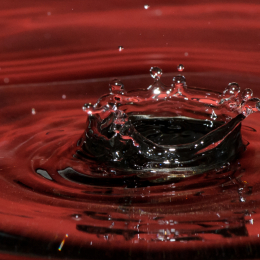 Tropfen_2012-02-25_20