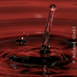 Tropfen_2012-02-25_18