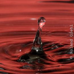 Tropfen_2012-02-25_25