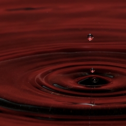 Tropfen_2012-02-25_06