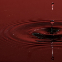 Tropfen_2012-02-25_05