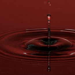 Tropfen_2012-02-25_03