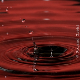 Tropfen_2012-02-25_17