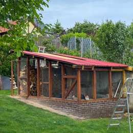 Voliere_022_20250601