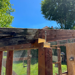 Voliere_017_20250530