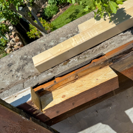 Voliere_015_20250530