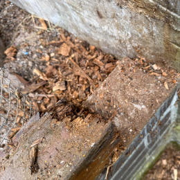 Voliere_003_20250529