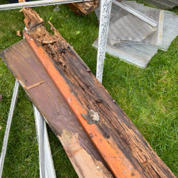 Voliere_008_20250529