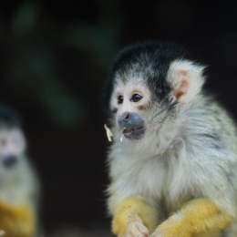 Vivarium_20130217-007