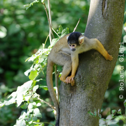 Gaiapark_2011-10-01_23