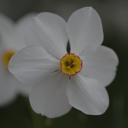 Zoo_Karlsruhe_20120408-026