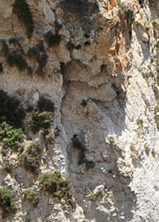 Greenshot 2023-07-21 22.05.24