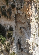 Greenshot 2023-07-21 22.05.24