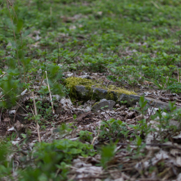 Alte_Opel_Rennstrecke-20130421-15