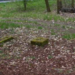 Alte_Opel_Rennstrecke-20130421-26