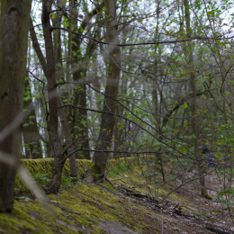 Alte_Opel_Rennstrecke-20130421-10