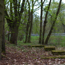 Alte_Opel_Rennstrecke-20130421-27