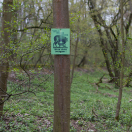 Alte_Opel_Rennstrecke-20130421-16