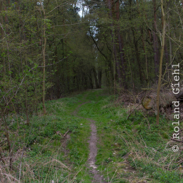 Alte_Opel_Rennstrecke-20130421-08